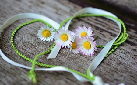 Love Horoscope For 29 September 2025 | आज का प्रेम राशिफल 29 सितम्बर | प्रेमियों के लिए कैसा रहेगा आज का दिन