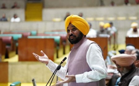 पंजाब की 'आप' सरकार ने बाढ़ पीड़ितों के लिए खोला खजाना, CM भगवंत सिंह मान का ऐलान- रेत निकालने के लिए किसानों को मिलेंगे 7200 रुपए प्रति एकड़