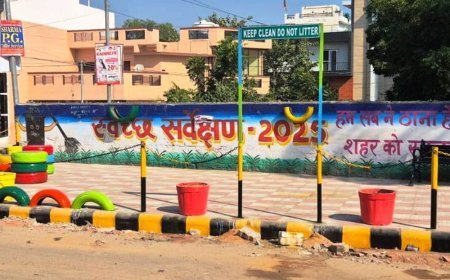 भिवानी में 11 कचरा प्वाइंट का सौंदर्यीकरण:डीसी ने लिया था सफाई का व्यवस्था का जायजा, पुराने टायरों से सजाए