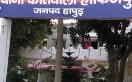 हापुड़ के मंदिर में चोरी का प्रयास:अज्ञात चोर के खिलाफ केस दर्ज, पुलिस जांच में जुटी