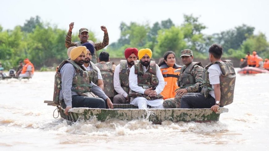 Punjab floods : 4 दशक की सबसे भीषण बाढ़ से जूझता पंजाब, 2.56 लाख लोग चपेट में, 29 की मौत, पानी में बहते पशु, छतों पर टेंटों में गुजरती रातें, क्यों जलमग्न है 'रोटी की टोकरी'