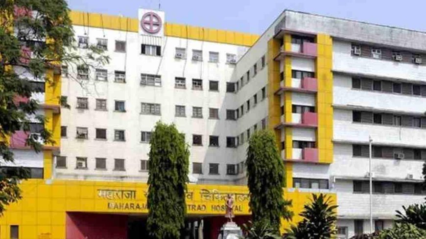 MY Hospital चूहाकांड : तो क्या चूहे के काटने से नहीं हुई बच्चियों की मौत, HOD बोले- ड्यूटी के दौरान कई बार हमें भी काट लेते हैं, नहीं होता इन्फेक्शन