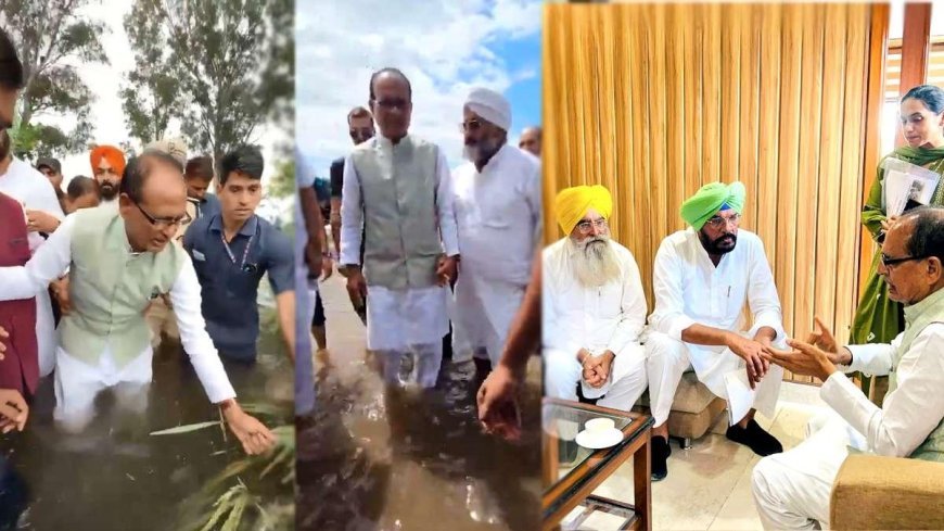 कमर-कमर पानी में उतरे मामा शिवराज, तबाह फसलों के बीच पंजाब के किसानों से मिले कृषि मंत्री
