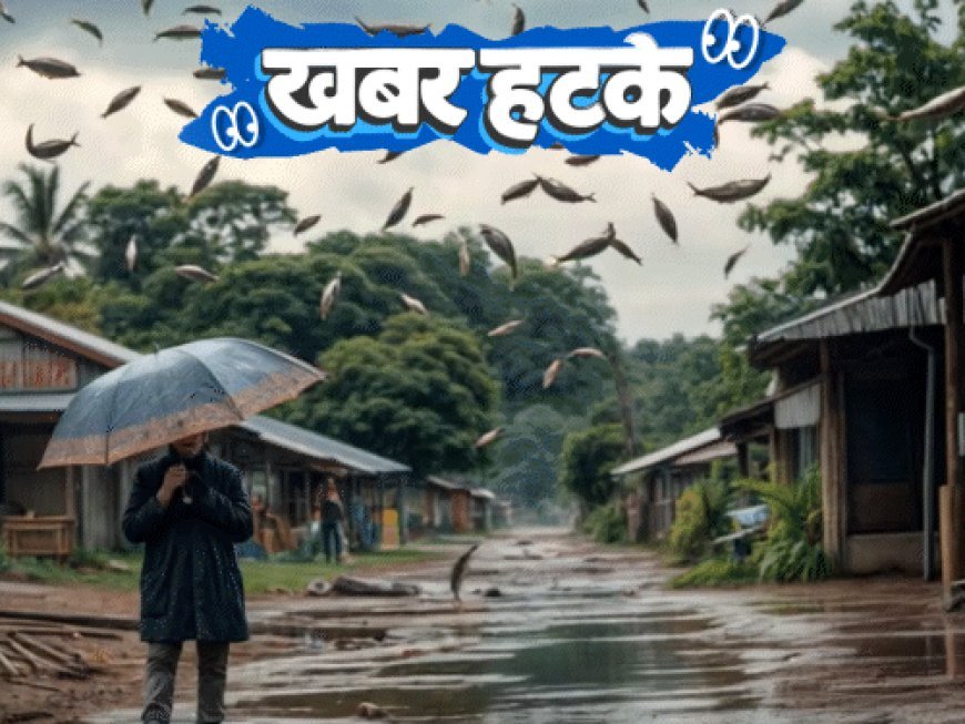 खबर हटके:आसमान से मछलियों की बारिश, त्योहार जैसा जश्न; सपने में मिला 20 साल से गायब महिला का पता; देखिए 5 रोचक खबरें