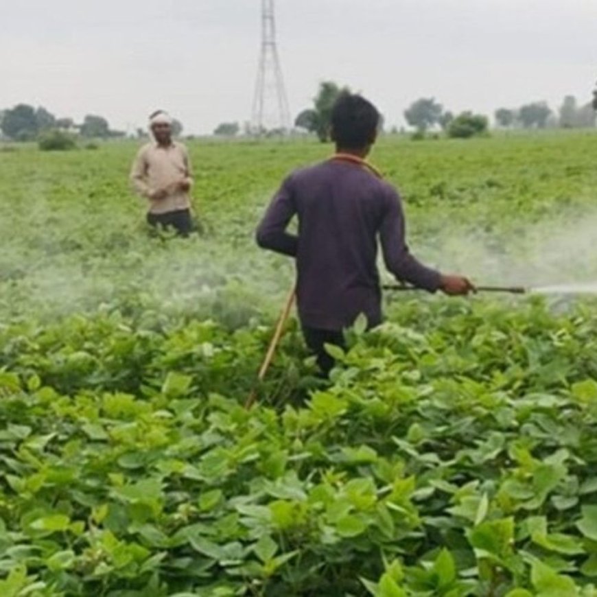 किसान संगठनों ने NFSA से नाम हटाने पर जताई आपत्ति:डिन नंबरधारी कंपनी निदेशकों को नेशनल फूड सिक्योरिटी एक्ट से बाहर करने का विरोध