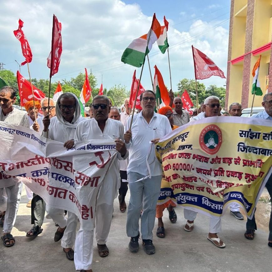 पलवल में 50 हजार प्रति एकड़ मुआवजे की मांग:किसानों ने 15 हजार को नाकाफी बताया; बोले-खरीफ की फसल पूरी तरह नष्ट हो चुकी
