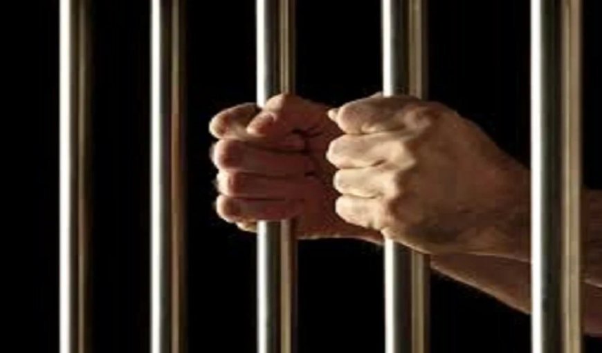 ब्रिटेन में भारतीय मूल के व्यक्ति को मां की हत्या के जुर्म में आजीवन कारावास की सजा