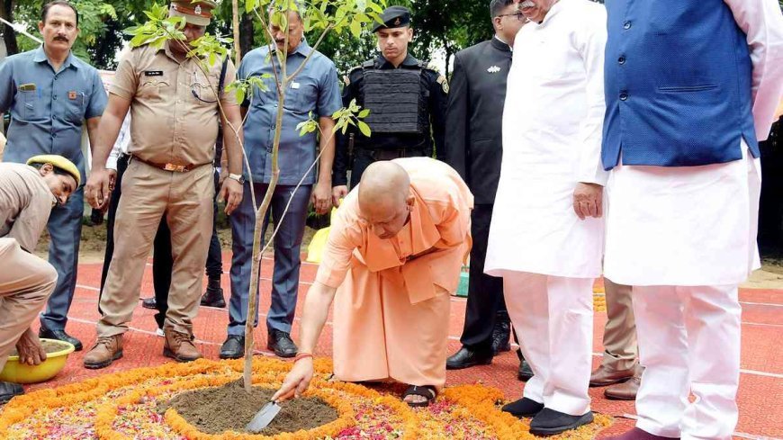 सेवा पर्व को 'स्वच्छ उत्सव' के रूप में भी मनाएगा वन विभाग