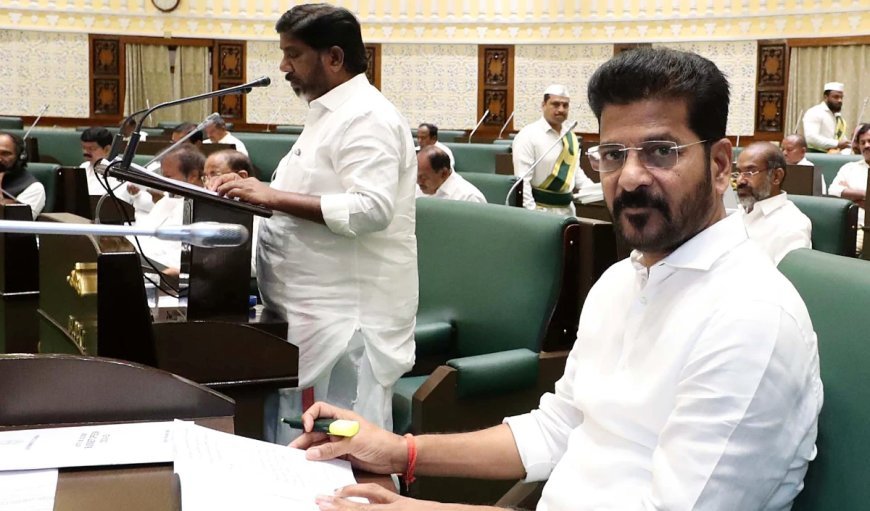 तेलंगाना के मुख्यमंत्री ने विश्व आर्थिक मंच के प्रमुख ब्रेंडे से की मुलाकात