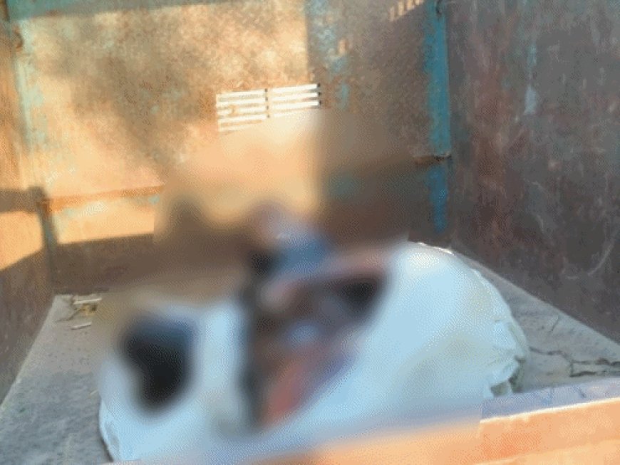 कोटपूतली-बहरोड़ में दो कुओं में मिले गले-सड़े शव:यूपी से जनरेटर खरीदने जयपुर जा रहे थे, 19 सितंबर को बलिया में दर्ज हुई थी लापता रिपोर्ट