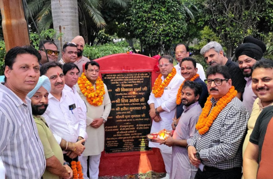 महापौर विकास शर्मा ने एलायंस कॉलोनी में किया सड़क का शिलान्यास