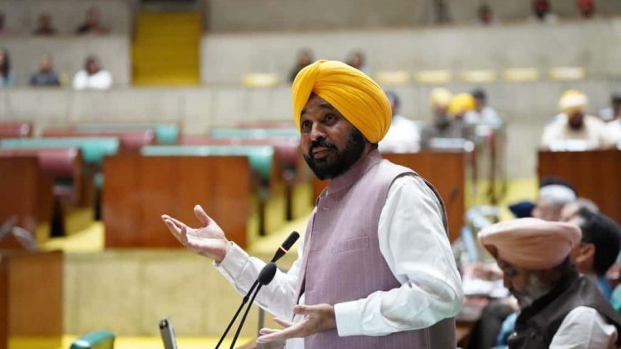 पंजाब की 'आप' सरकार ने बाढ़ पीड़ितों के लिए खोला खजाना, CM भगवंत सिंह मान का ऐलान- रेत निकालने के लिए किसानों को मिलेंगे 7200 रुपए प्रति एकड़
