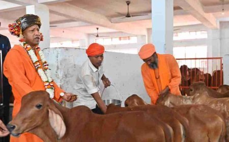 विजयदशमी पर गोपूजन कर सीएम योगी ने की गोसेवा