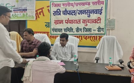 जिला कलेक्टर ने रात्रि चौपाल में सुनी जनसमस्याएं:ग्रामीण सेवा शिविर का किया दौरा, अधिकारियों को दिए जल्द निपटारे के निर्देश