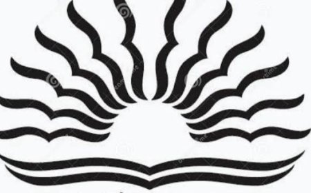 डीडवाना में केंद्रीय स्कूल खोलने को मिली मंजूरी:कैबिनेट समिति ने देशभर में 57 नए केवी की स्थापना को दी स्वीकृति