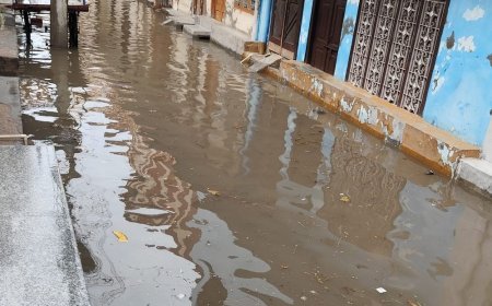 हनुमानगढ़ में बारिश से फसलों को नुकसान की आशंका:नरमा, बाजरा, मूंग और मोठ की फसलें भीगीं, तापमान गिरावट दर्ज