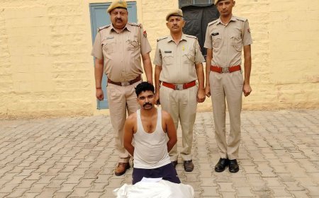 बाप में सोलर प्लांट से चोरी का मामला:पुलिस ने 8वां आरोपी किया गिरफ्तार, केबल और बेयरिंग खरीदता था