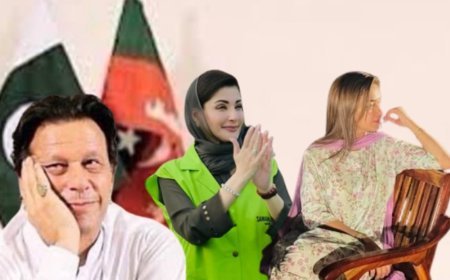 इमरान की 'सनम' को सरेराह किसने किया अगवा? क्या मरियम ने PTI के गढ़ से उठवाया