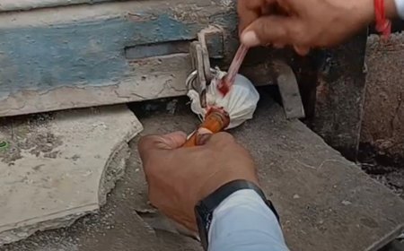 फरीदाबाद में मीट-बिरयानी की 4 दुकानें सील:बिना लाइसेंस के चल रही थी, नगर निगम ने की कार्रवाई