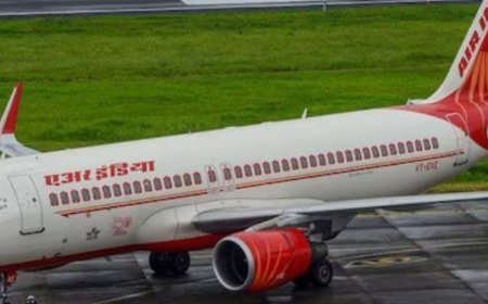 एअर इंडिया की कोलंबो-चेन्नई फ्लाइट के इंजन से पक्षी टकराया:158 यात्री सवार थे, सभी सुरक्षित; एयरलाइन ने वापसी उड़ान रद्द की