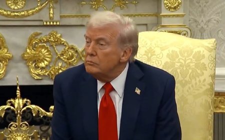 उम्मीद पर दुनिया कायम है! नोबेल नहीं मिलने पर आया व्हाइट हाउस का बयान, ट्रंप जान बचाते रहेंगे, आप राजनीति को चुनते रहो