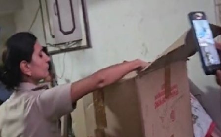 रोहतक में अवैध पटाखा बिक्री पर पुलिस की रेड:भारी मात्रा में विस्फोटक सामग्री बरामद, 3 युवक गिरफ्तार