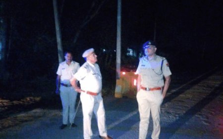 सवाई माधोपुर में सुबह 4 से 6 बजे तक नाकाबंदी:फेस्टिवल सीजन के चलते ए श्रेणी की नाकाबंदी, SP ने किया निरीक्षण