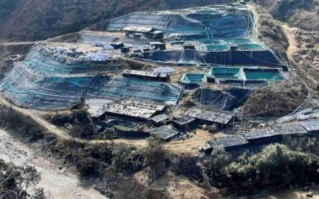 चीन के लिए रणनीतिक हथियार बन गए हैं रेयर अर्थ