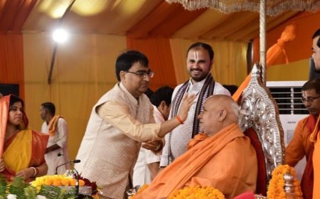 रामभद्राचार्य ने राम मंदिर ट्रस्टी चयन पर उठाए सवाल:बोले- जिन्होंने राम जन्मभूमि आंदोलन में हिस्सा नहीं लिया, उन्हें ट्रस्टी बनाया गया