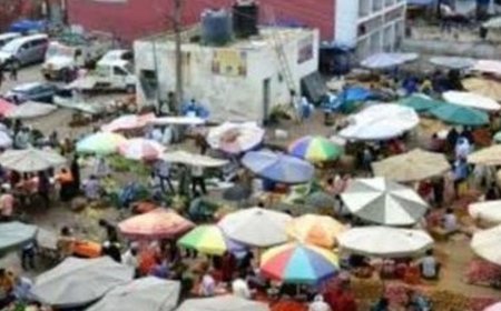 हाईकोर्ट ने पूछा- जिम्मेदार अधिकारियों पर क्या कार्रवाई की:चंडीगढ़ में गंदगी के लिए प्रशासन को लगाई फटकार, मंडी में उतरे कृषि सचिव
