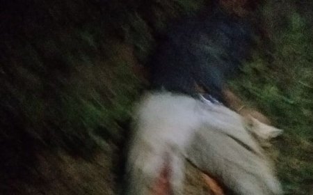 रायबरेली में सड़क हादसे में युवक की मौत:अज्ञात वाहन की टक्कर से गई जान, पोस्टमार्टम के लिए भेजा