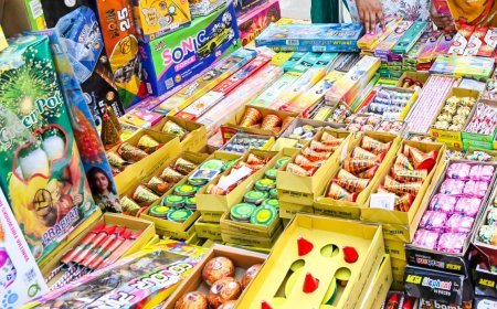 डीआरआई ने पांच करोड़ रुपये के चीनी पटाखों की तस्करी नाकाम की, चार गिरफ्तार