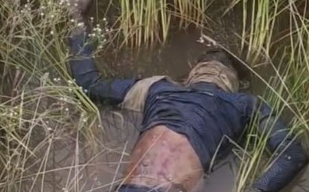 झज्जर में प्रवासी मजदूर का मिला शव:धान के खेतों में पानी में पड़ा मिला, भट्‌ठे पर करता था काम