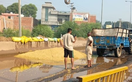 हिसार के सरसौद में धान से भरी ट्रैक्टर-ट्रॉली पलटी:हाईवे पर खड़े पानी में गिरकर फसल खराब, बाल-बाल बचा ड्राइवर