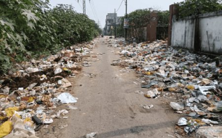 दीपावली में नहीं उठा कूड़ा, बिगाड़ रहा शहर की सूरत:शहर के अलग अलग स्थानों पर सड़क किनारे व पार्कों में डंप है कूड़ा