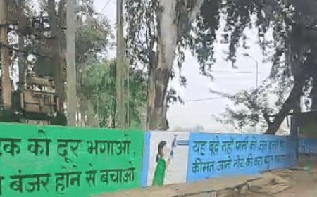 झज्जर में दीवारों पर पेंटिंग से बढ़ रही सुंदरता:जनता को दिया सामाजिक संदेश, फ्लाईओवर पर होगी खिलाड़ियों-महापुरूषों की फोटो