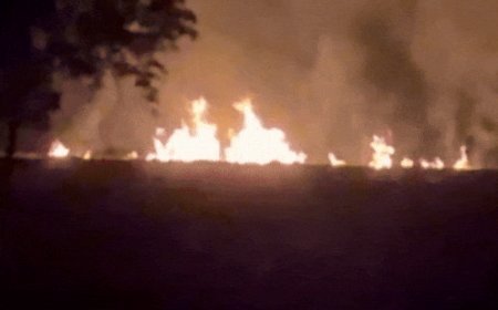 हरियाणा से 12 गुना अधिक पराली पंजाब में जली:पड़ोसी राज्य में 730, प्रदेश में 60 केस, राज्य के 3 शहर सबसे ज्यादा प्रदूषित