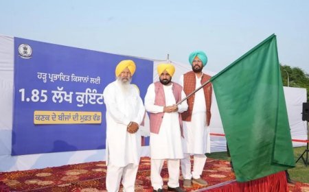 पंजाब में CM भगवंत सिंह मान ने पूरा किया बाढ़ प्रभा‍वित किसानों से किया वादा, किसानों को भेजे गेहूं के बीज