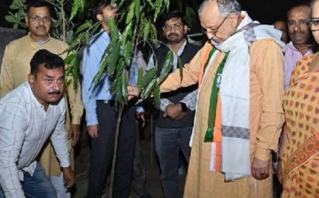 लखनऊ में एक पेड़ मां के नाम अभियान:प्रभारी मंत्री सुरेश खन्ना और मेयर सुषमा खर्कवाल ने लगाए अशोक और सूर्यमुखी के पौधे