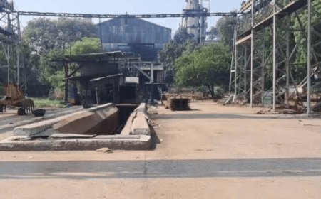 सोनीपत शुगर मिल एप से पानीपत, गोहाना-जींद मिल भी जुड़ेंगे:घर बैठे मिलेगी गन्ने पिराई की हर जानकारी; अभी चल रहा ट्रायल