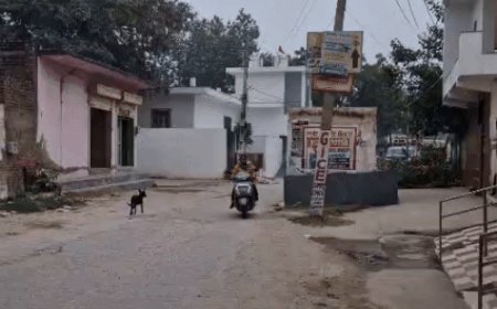 नारनौल में फिर से बढ़ा प्रदूषण, तापमान में गिरावट:155 पर पहुंचा AQI, दो-तीन दिन राहत की उम्मीद नहीं