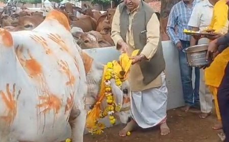 श्रीकृष्ण जन्मस्थान में गोपाष्टमी पर्व मनाया गया:गौशाला में गोचारण लीला, भक्तों ने की गोमाता की पूजा