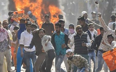 पुलिस बोली-दिल्ली दंगे देश में सत्ता परिवर्तन की साजिश थी:हिंसा फैलाने की कोशिश हुई; सुप्रीम कोर्ट में 177 पन्नों का हलफनामा दाखिल