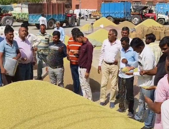 नागौर और मेड़ता मंडी में गिरे मूंग के भाव:बारिश की वजह से दाने हुए काले; जीरा 20 हजार 100 रुपए प्रति क्विंटल में बीका