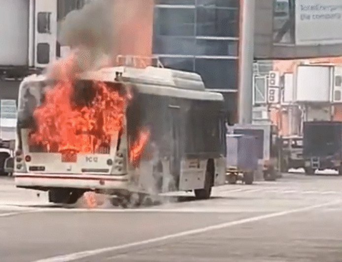 दिल्ली एयरपोर्ट के टर्मिनल-3 पर बस में आग लगी:एअर इंडिया का विमान नजदीक खड़ा था, किसी के घायल होने की खबर नहीं