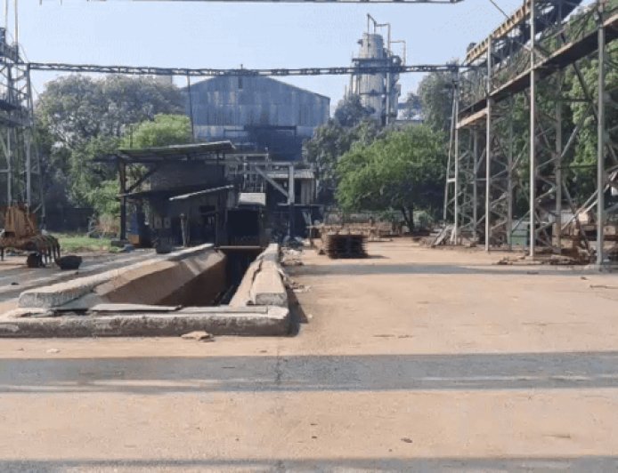 सोनीपत शुगर मिल एप से पानीपत, गोहाना-जींद मिल भी जुड़ेंगे:घर बैठे मिलेगी गन्ने पिराई की हर जानकारी; अभी चल रहा ट्रायल