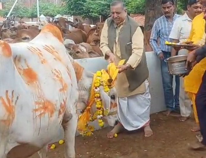 श्रीकृष्ण जन्मस्थान में गोपाष्टमी पर्व मनाया गया:गौशाला में गोचारण लीला, भक्तों ने की गोमाता की पूजा