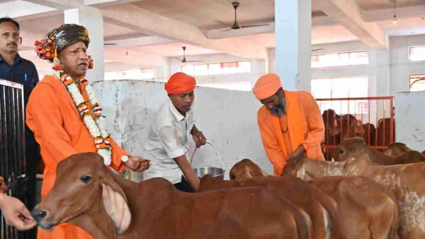 विजयदशमी पर गोपूजन कर सीएम योगी ने की गोसेवा