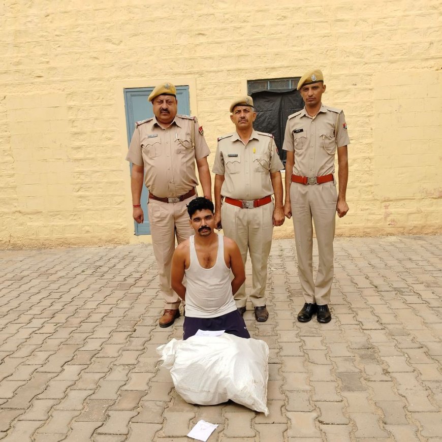 बाप में सोलर प्लांट से चोरी का मामला:पुलिस ने 8वां आरोपी किया गिरफ्तार, केबल और बेयरिंग खरीदता था