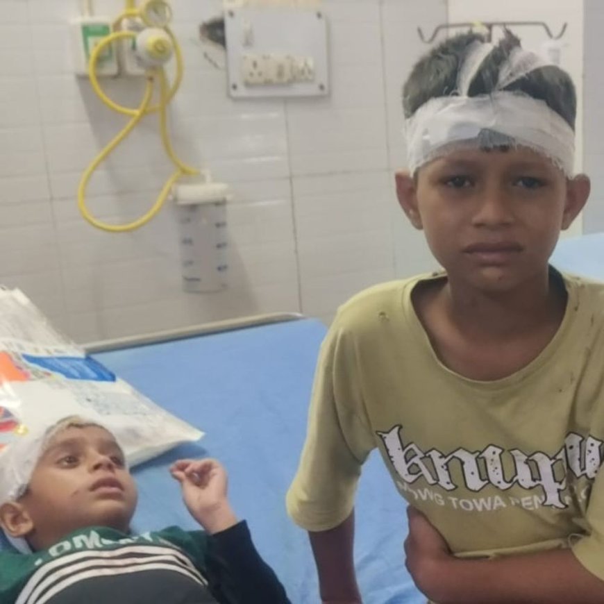 पलवल में मकान की दीवार गिरी:महिला-बच्चे समेत 6 लोग घायल, बारिश के कारण हुआ हादसा; सभी अस्पताल में भर्ती